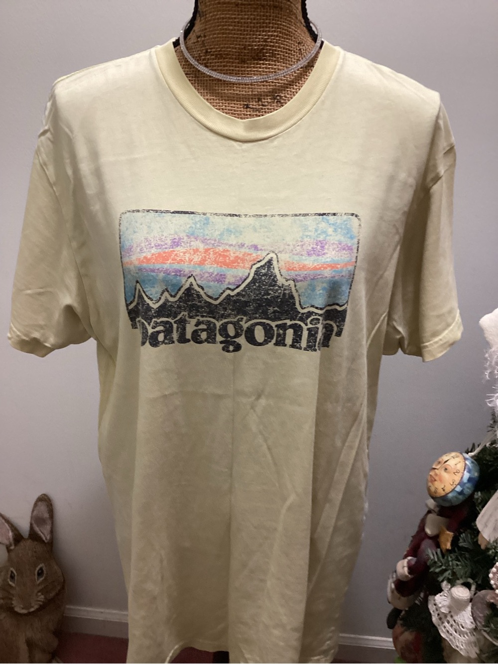 Patagonia Tee